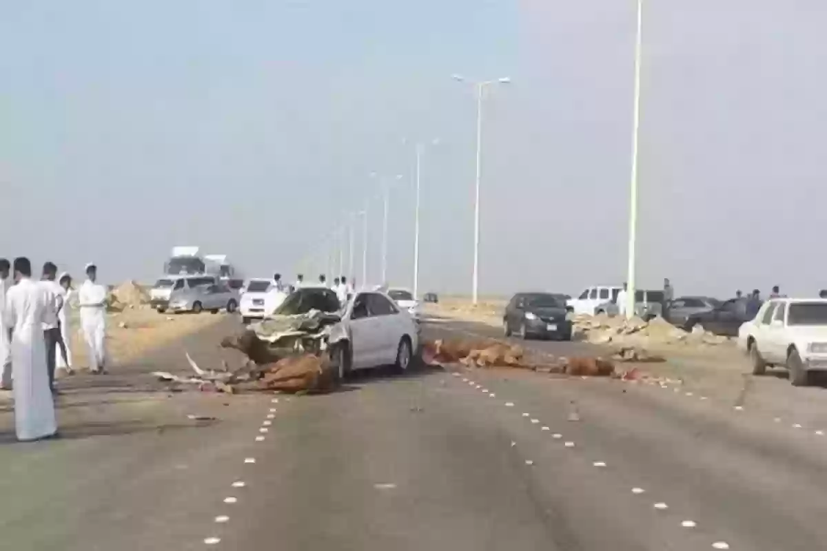 حادث مروع بالمدينة المنور